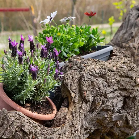 B&B Il Casolare 그라다라